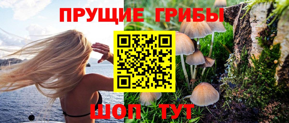 Галлюциногенные грибы GOLDEN TEACHER  Вход с VPN  Псилоцибиновые грибы ЛСД  Гусев 